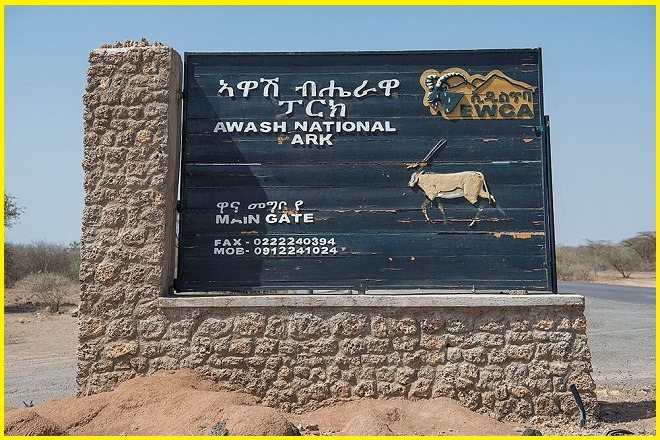 Lower Valley of the Awash