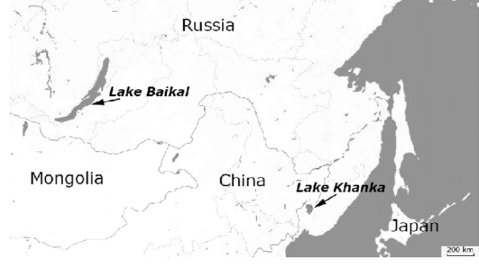 Lake Khanka