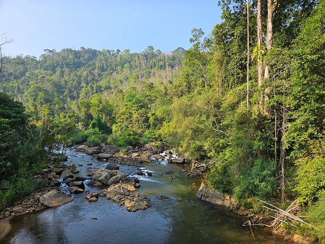 Sinharaja Forest Reserve