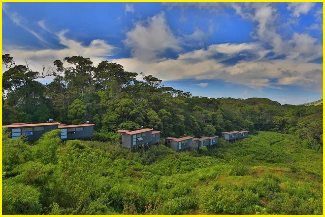 Sinharaja Forest Reserve