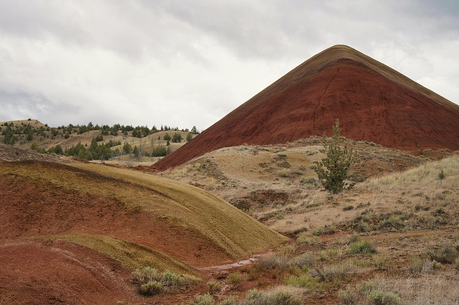 The Painted Hills
