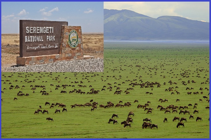 Serengeti National Park