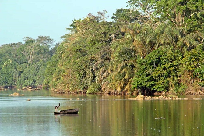 Gola Rainforest National Park