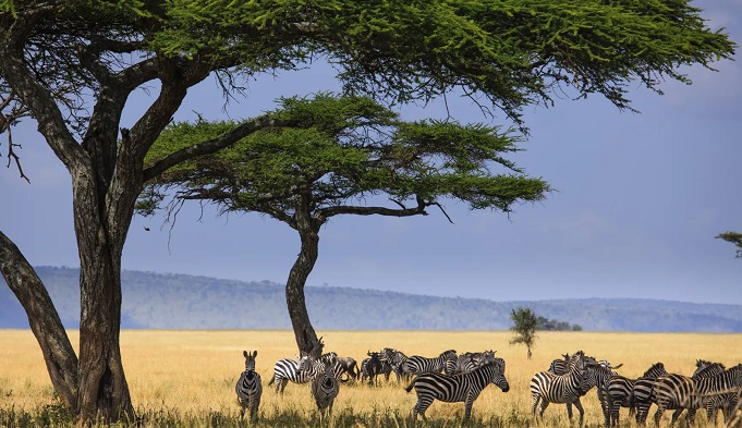 Serengeti National Park