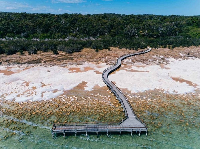Lake Clifton Thrombolites