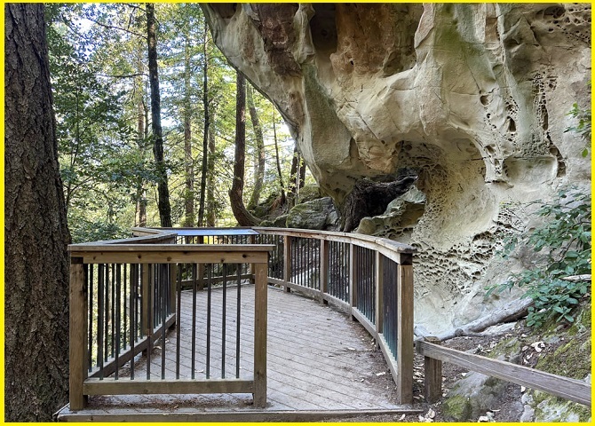 Nature’s Masterpiece: Tafoni Sandstone Monolith of Redwood City
