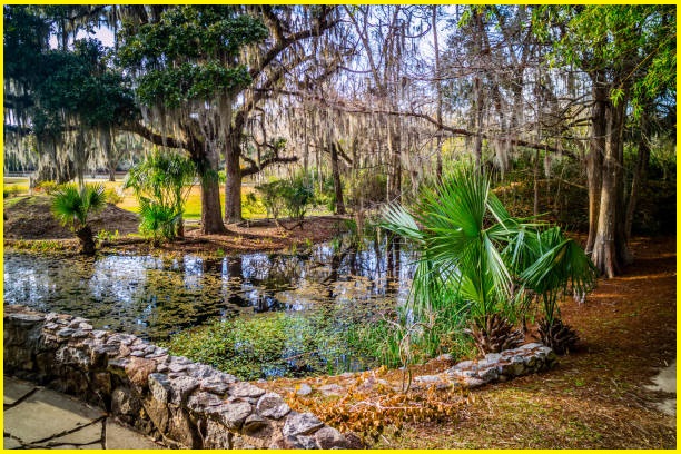 Avery Island: A Stunning Salt Dome and Wildlife Sanctuary in Louisiana