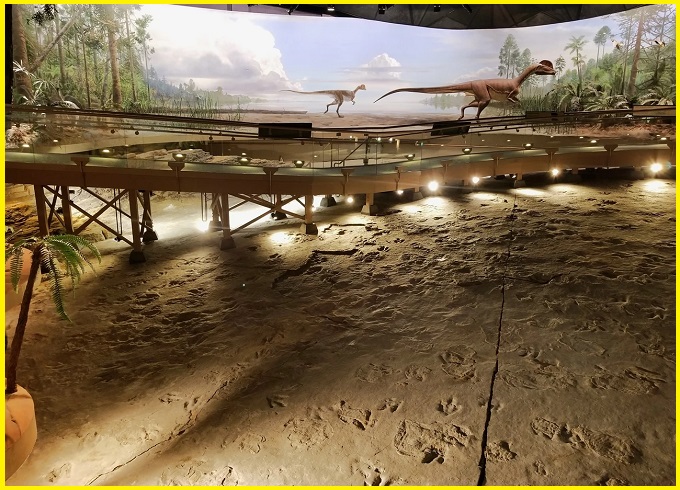 Discover the Ancient Wonders: Dinosaur Trackway in Connecticut