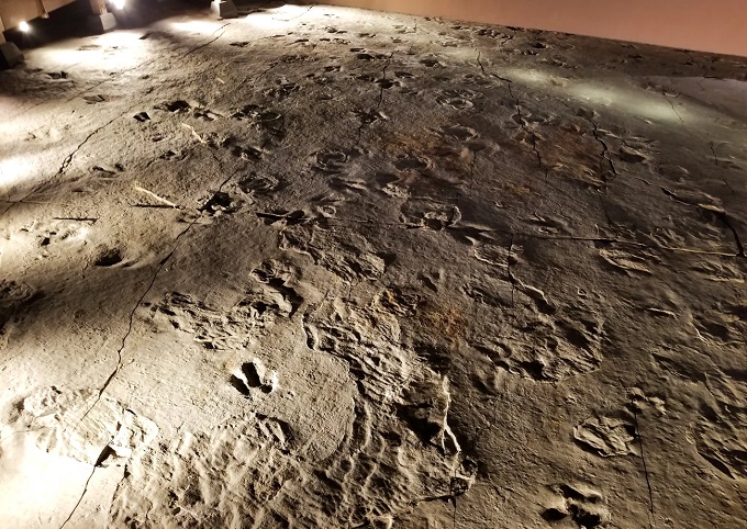 Dinosaur Trackway, Connecticut