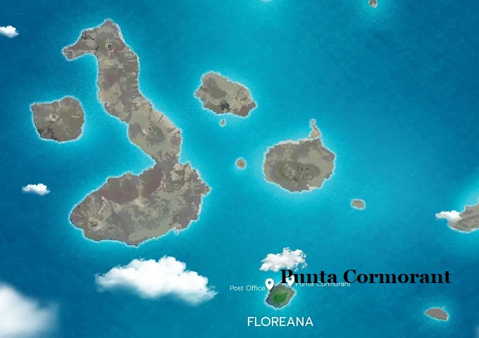 Punta Cormorant