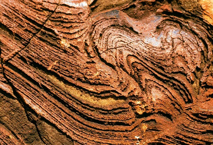 stromatolites in Western Australia