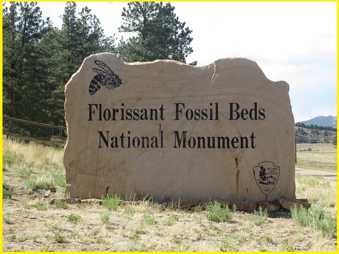 Florissant Fossil Beds: A Remarkable Eocene Lacustrine Deposit