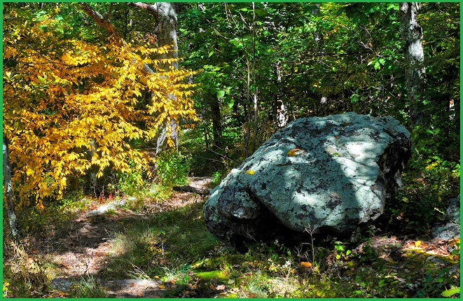 Ultimate Catoctin Greenstone: Virginia’s Ancient Volcanic Marvel