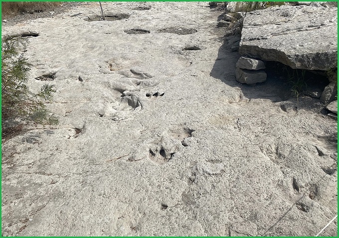 Paluxy River Tracks: The Dinosaurs and Human Footprints Mystery Revealed