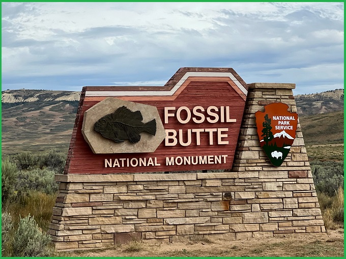 Fossil Butte, Wyoming: Stunning Eocene Treasure of Preserved Fossils!