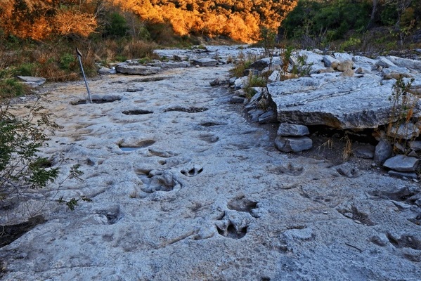 Paluxy River Tracks